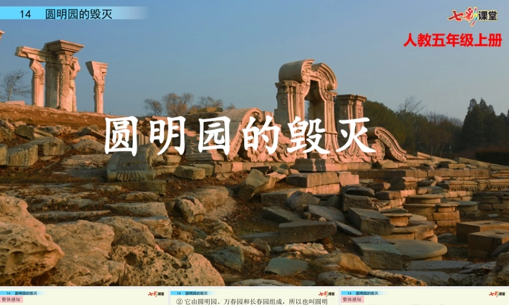 14 圆明园的毁灭(1).pptx