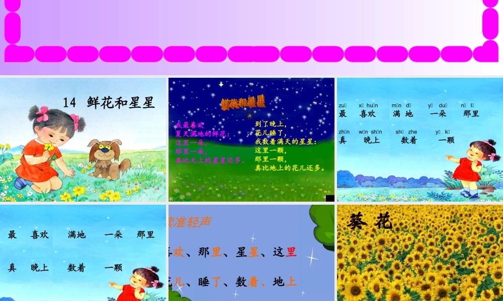 14 鲜花和星星.ppt