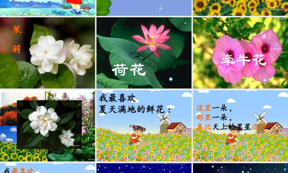 14 鲜花和星星.ppt