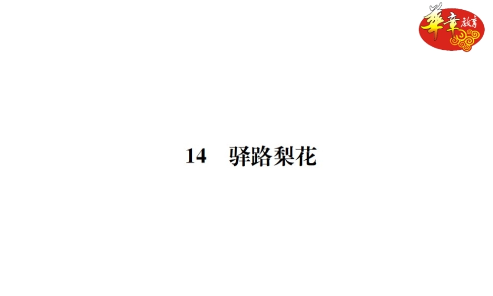 14 驿路梨花.ppt