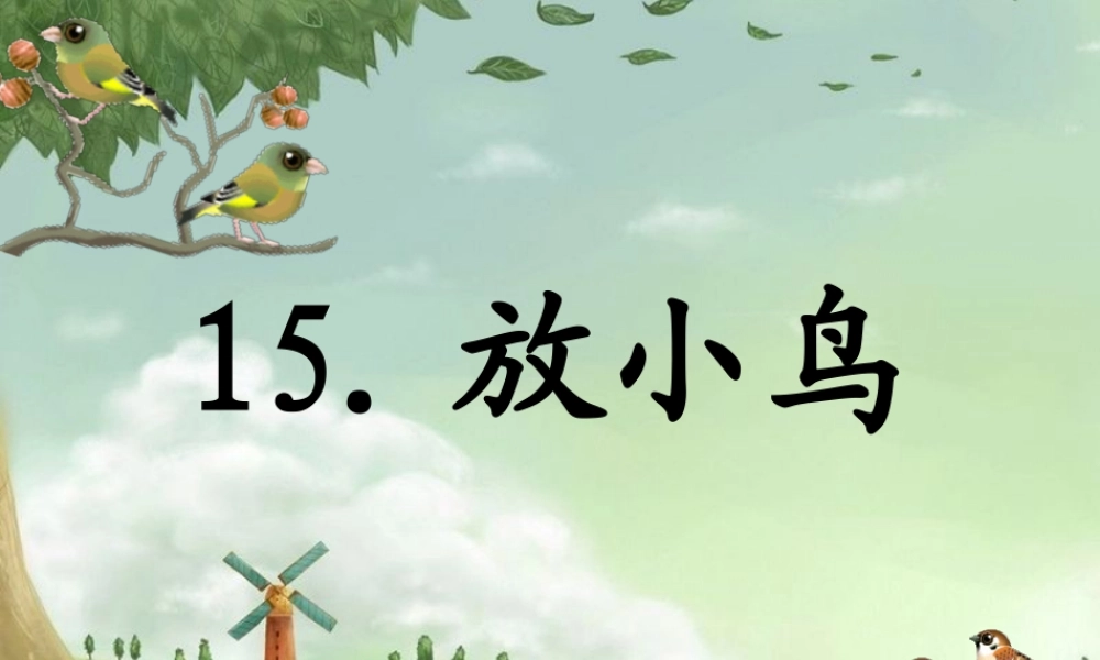 15 放小鸟.ppt