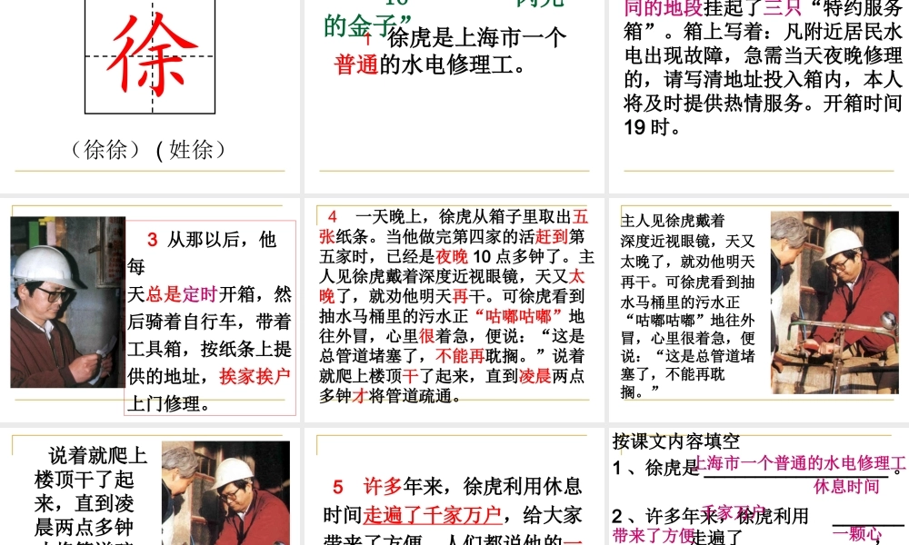 16 “闪光的金子”.ppt