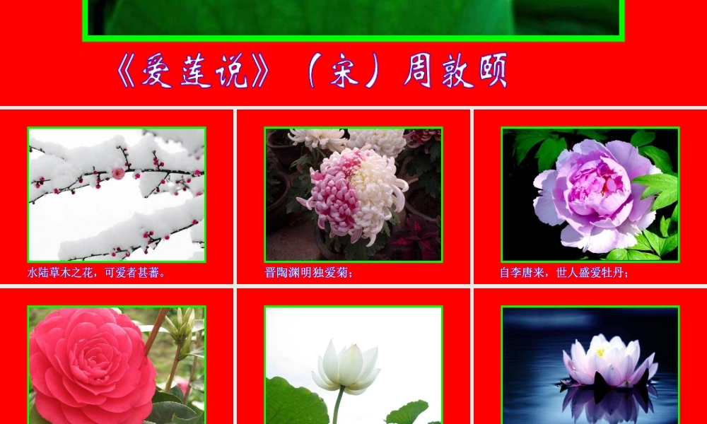 16 爱莲说 PPT视频朗读.ppt