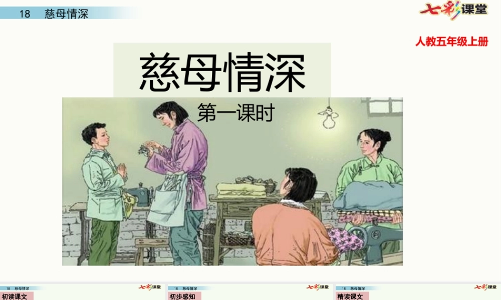 18 慈母情深(1).pptx