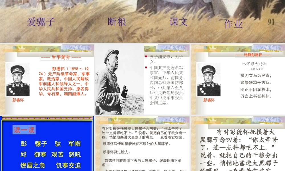 21 彭德怀和他的大黑骡子.ppt