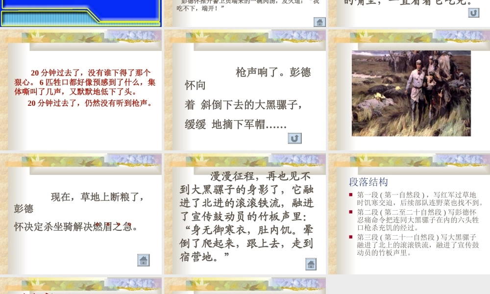 21 彭德怀和他的大黑骡子.ppt