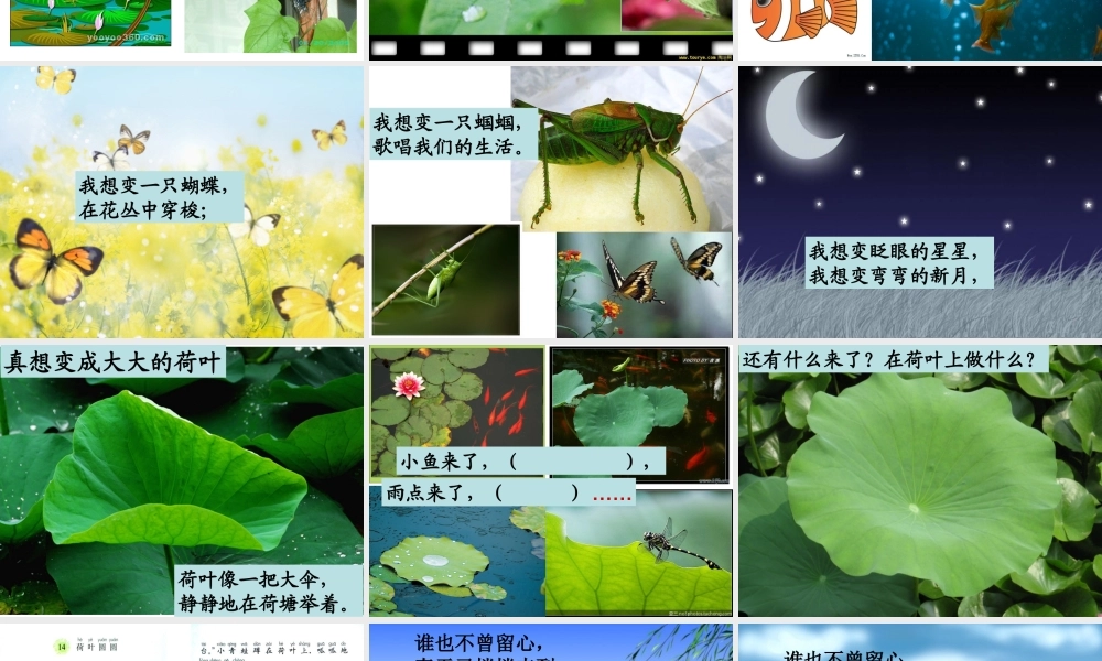 21 真想变成大大的荷叶.ppt