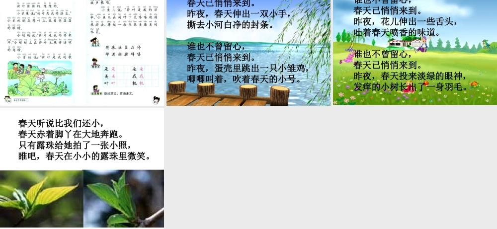 21 真想变成大大的荷叶.ppt