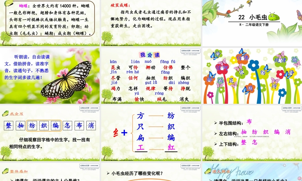 22 小毛虫.ppt