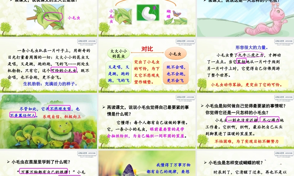 22 小毛虫.ppt