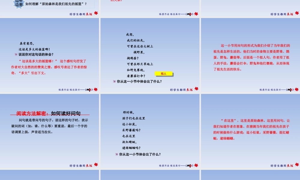 23.祖先的摇篮【第2课时】.ppt