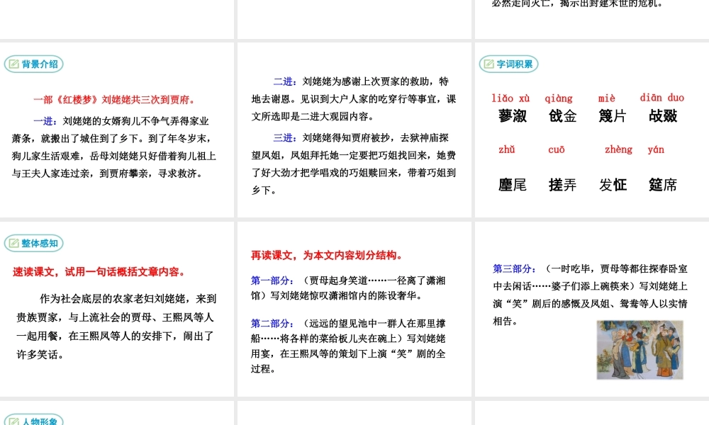 24 刘姥姥进大观园(1).ppt
