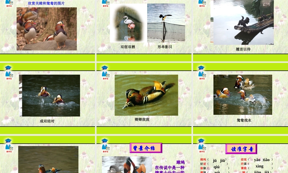 24《诗经》两首关雎.ppt