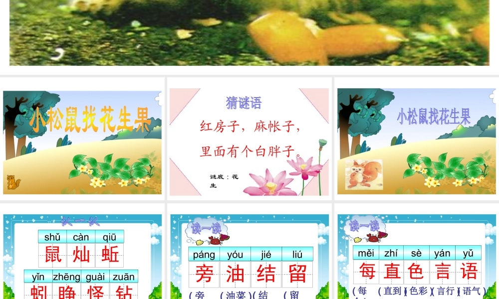 26 小松鼠找花生果.ppt