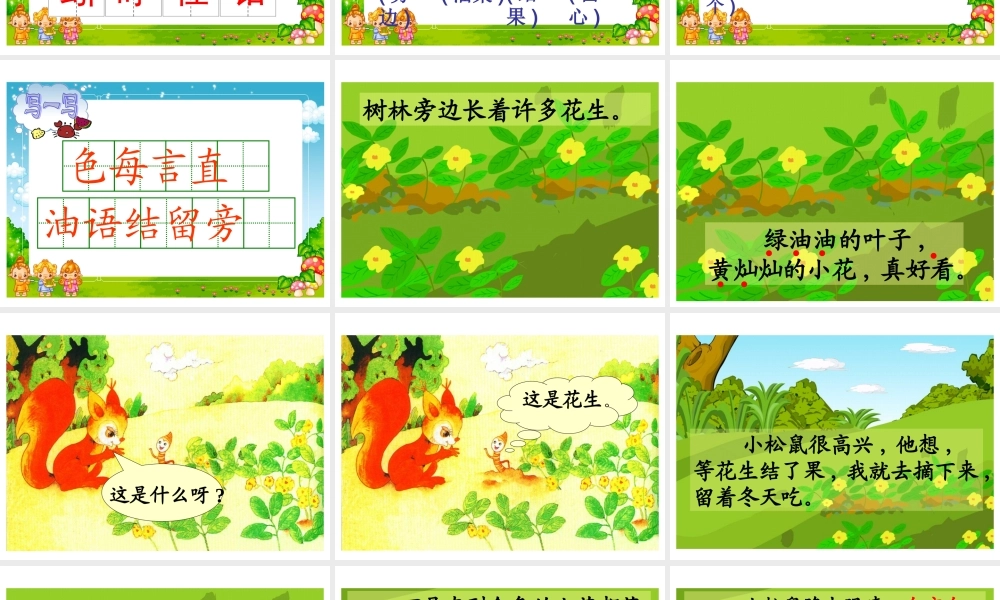 26 小松鼠找花生果.ppt