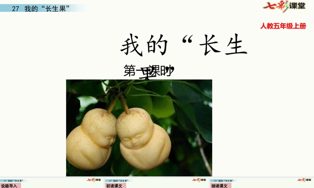 27 我的“长生果”(1).pptx
