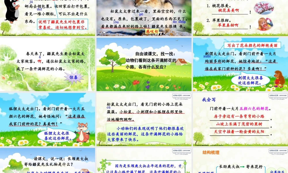 3 开满鲜花的小路.ppt