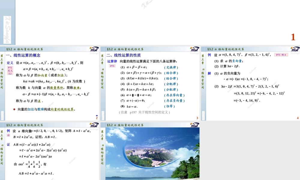 3.2 n维向量的线性运算.PPT