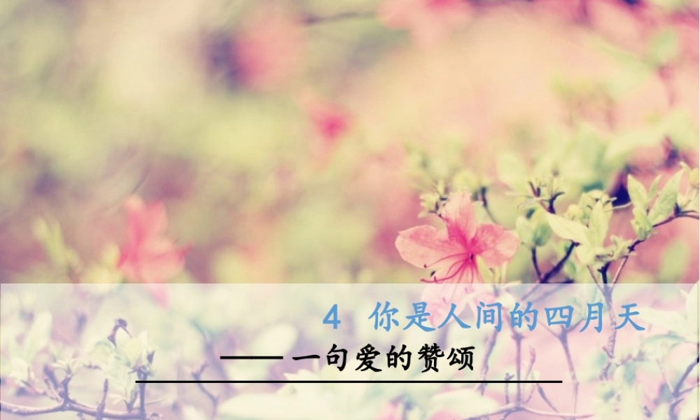 4 你是人间的四月天——一句爱的赞颂(1).ppt