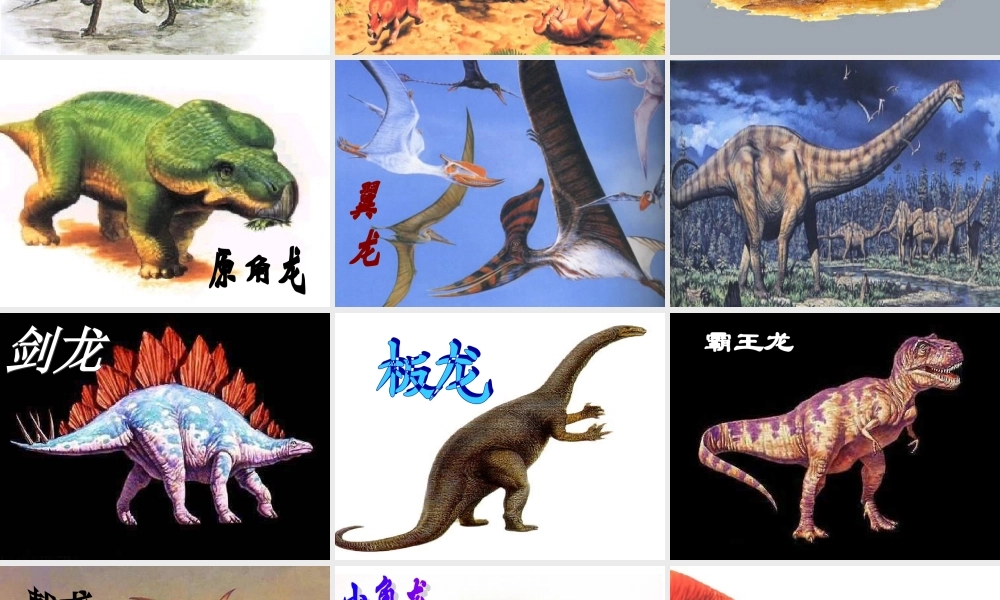 4.18《阿西莫夫短文两篇》ppt课件（共63张PPT）.ppt