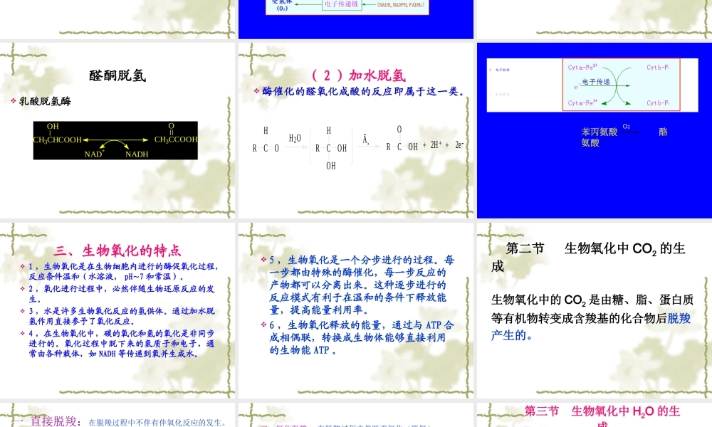 4生物氧化.ppt