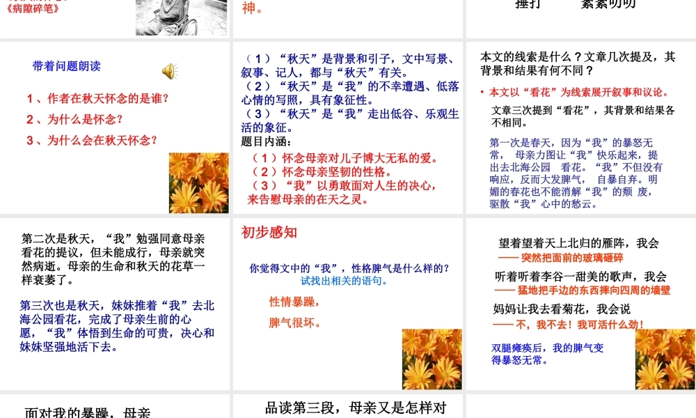 5 秋 天 的 怀 念.ppt