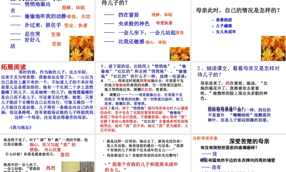 5 秋 天 的 怀 念.ppt