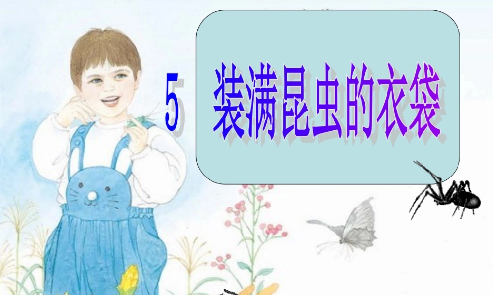 5 装满昆虫的衣袋.ppt
