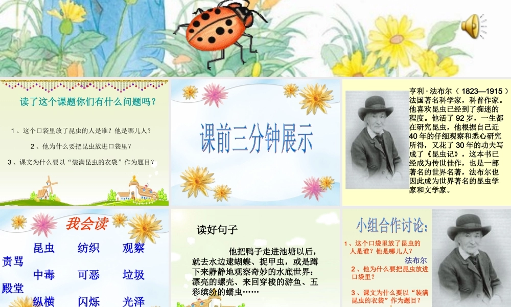 5 装满昆虫的衣袋.ppt