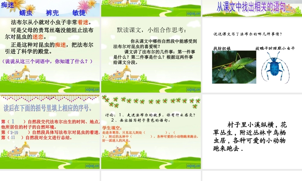 5 装满昆虫的衣袋.ppt