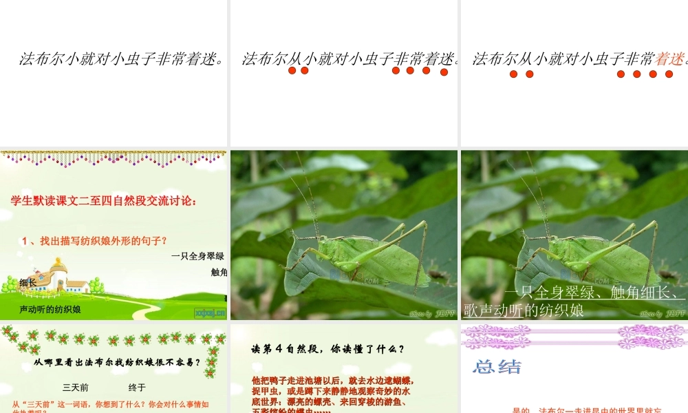 5 装满昆虫的衣袋.ppt