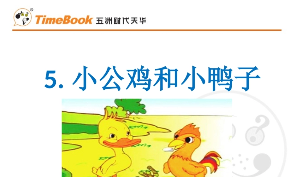 5 小公鸡和小鸭子.ppt