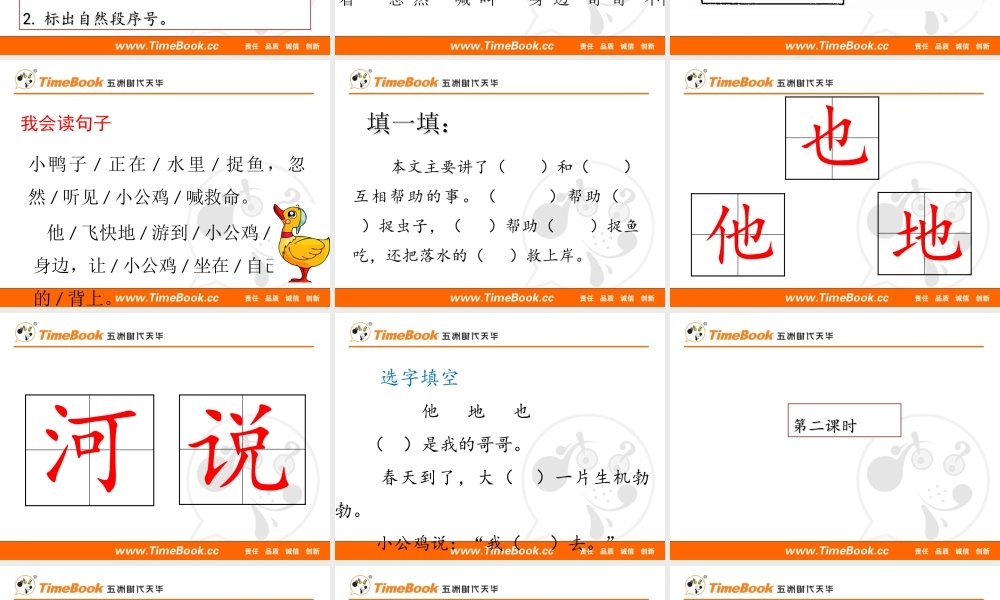 5 小公鸡和小鸭子.ppt