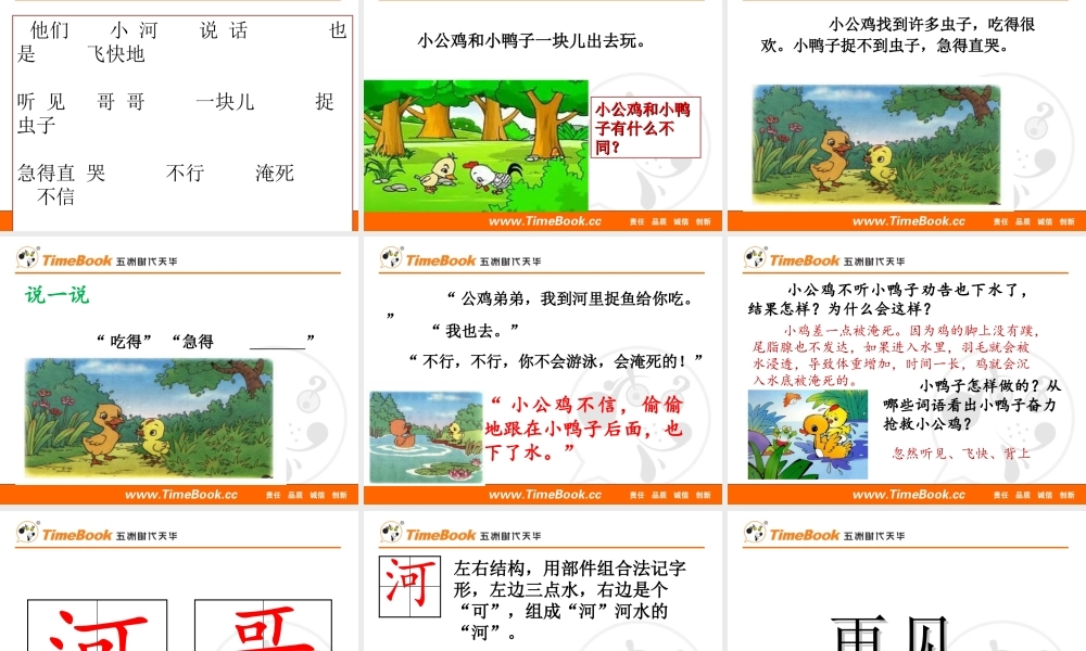 5 小公鸡和小鸭子.ppt