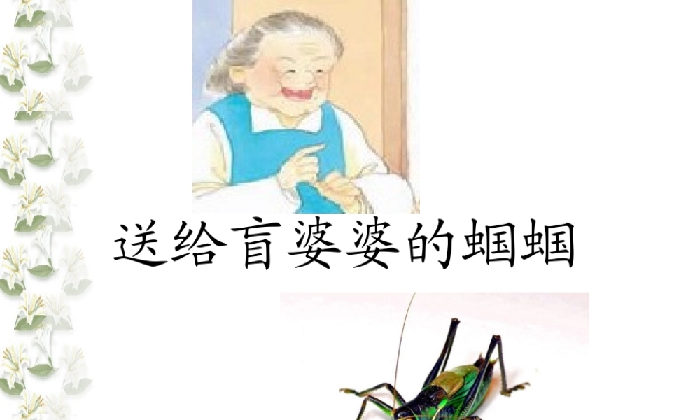 5 送给盲婆婆的蝈蝈.ppt