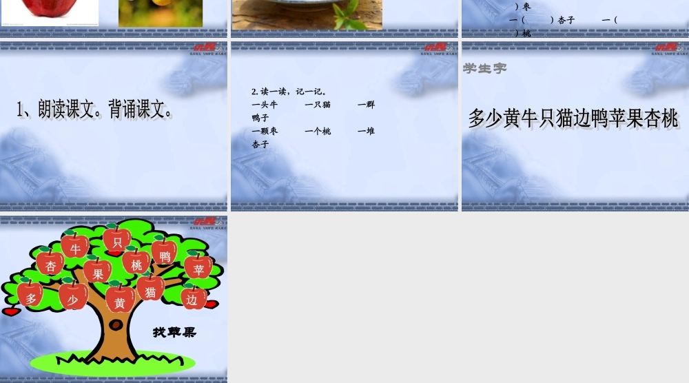 7 大小多少ppt.ppt