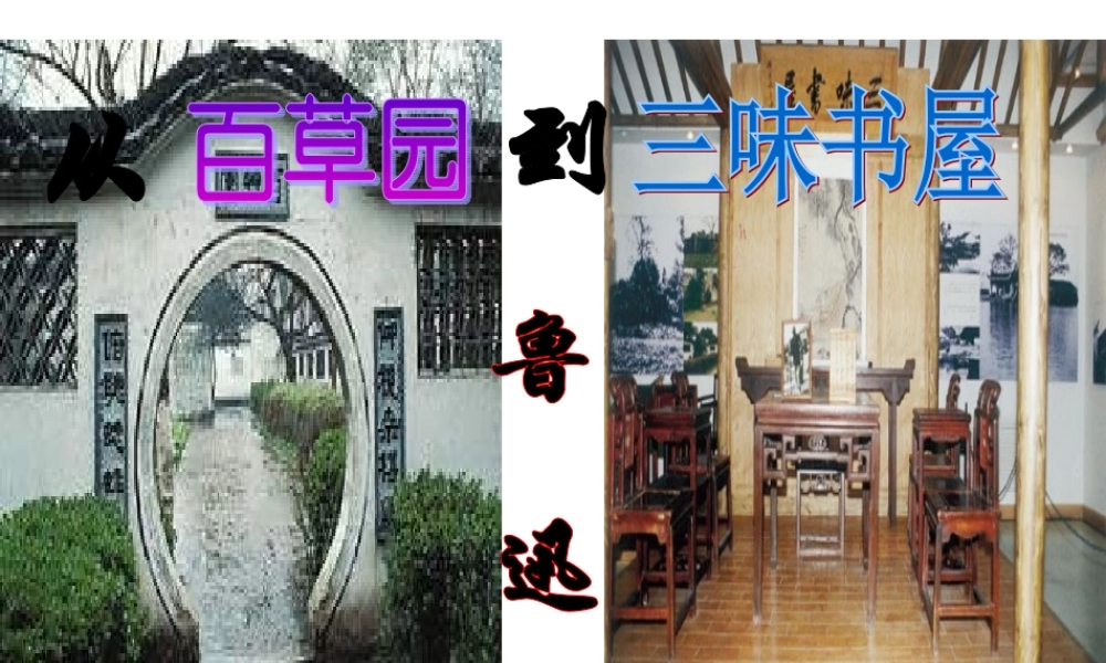 9 从百草园到三味书屋.ppt