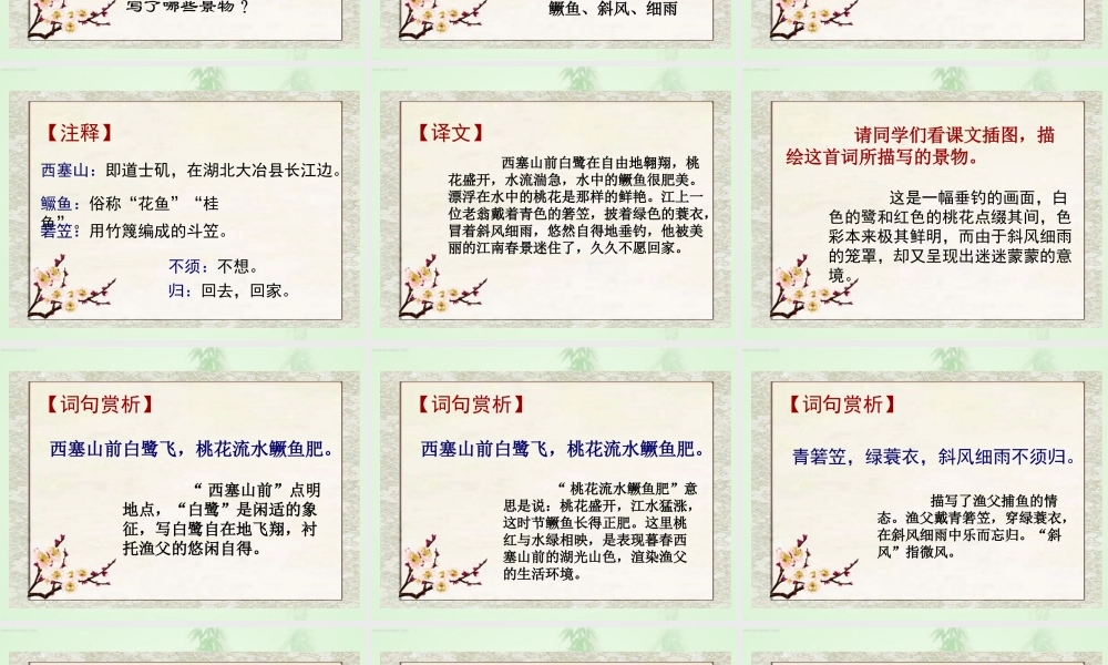 9 词两首—渔歌子.ppt