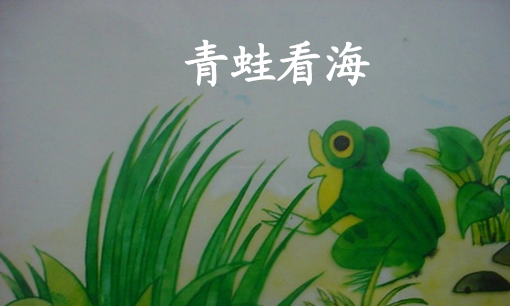 9 青蛙看海.ppt