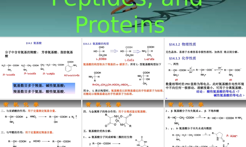 c 14 氨基酸、多肽与蛋白质.ppt