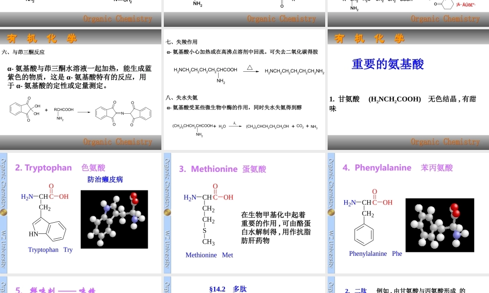 c 14 氨基酸、多肽与蛋白质.ppt