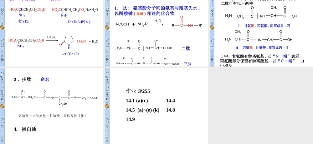 c 14 氨基酸、多肽与蛋白质.ppt