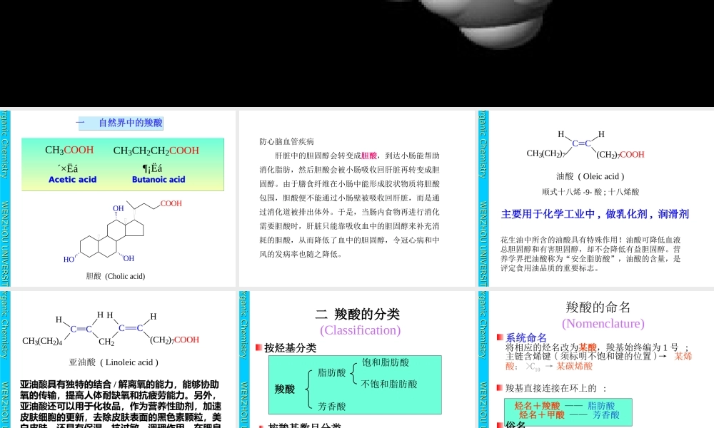 c9羧酸及其衍生物.ppt