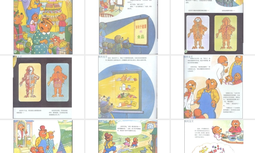 贝贝熊系列——科学饮食.ppt