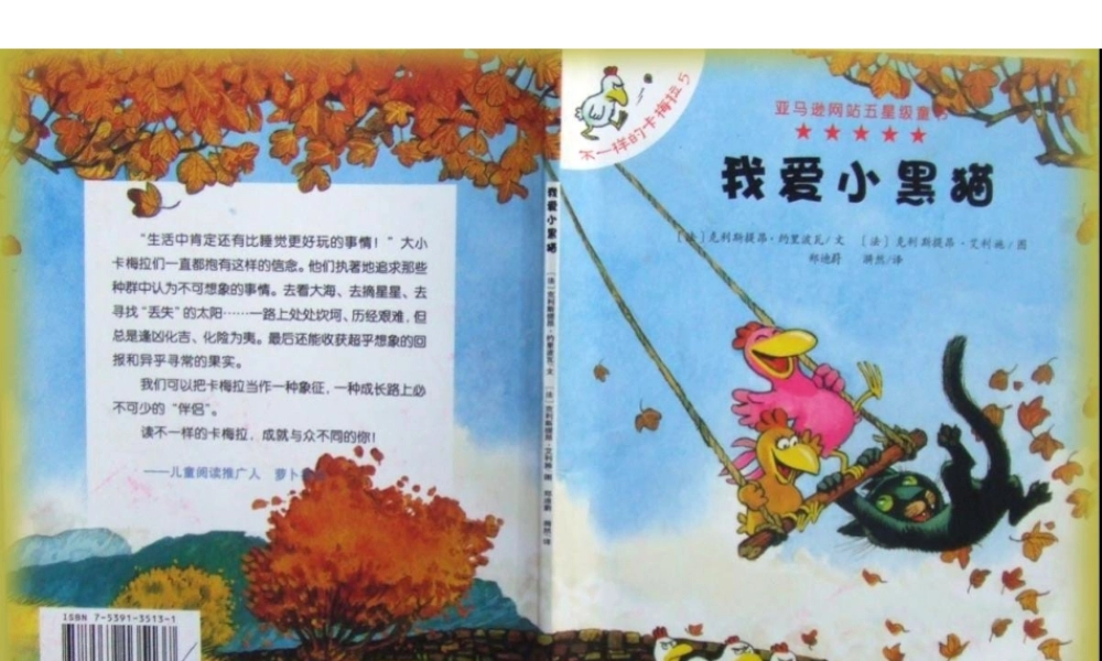 不一样的卡梅拉5-我爱小黑猫.ppt