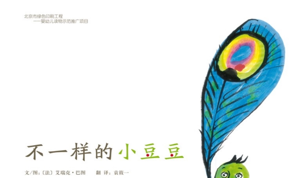 不一样的小豆豆 -印象工作站.pptx