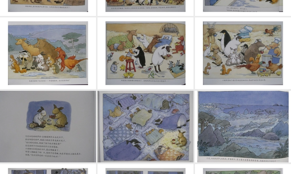 布雷格的龙卷风.ppt