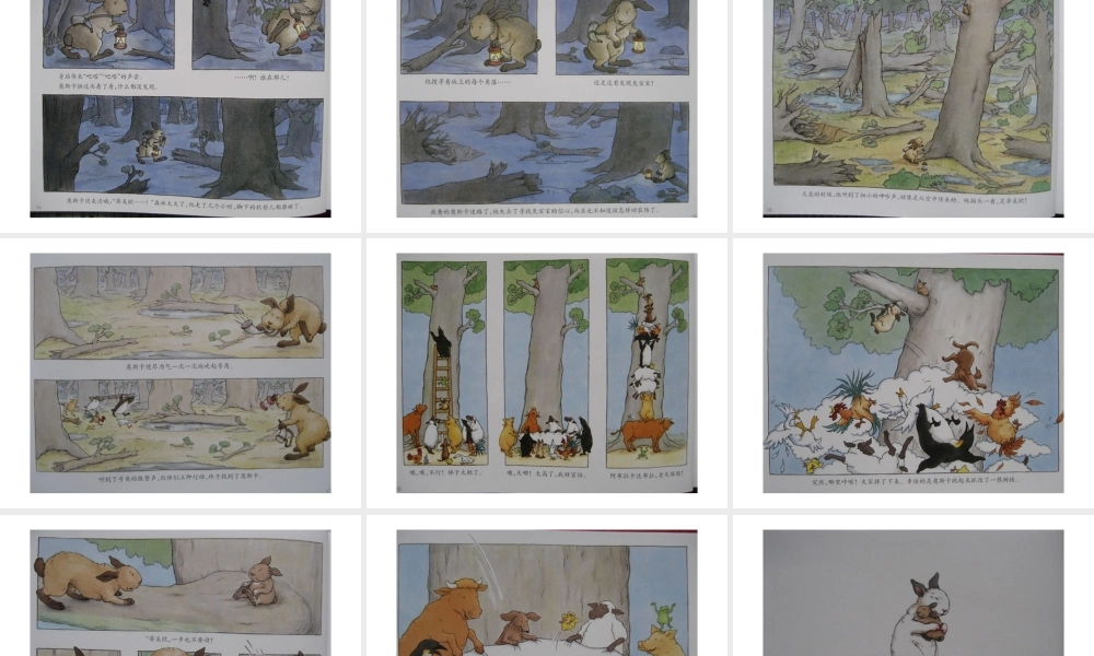 布雷格的龙卷风.ppt