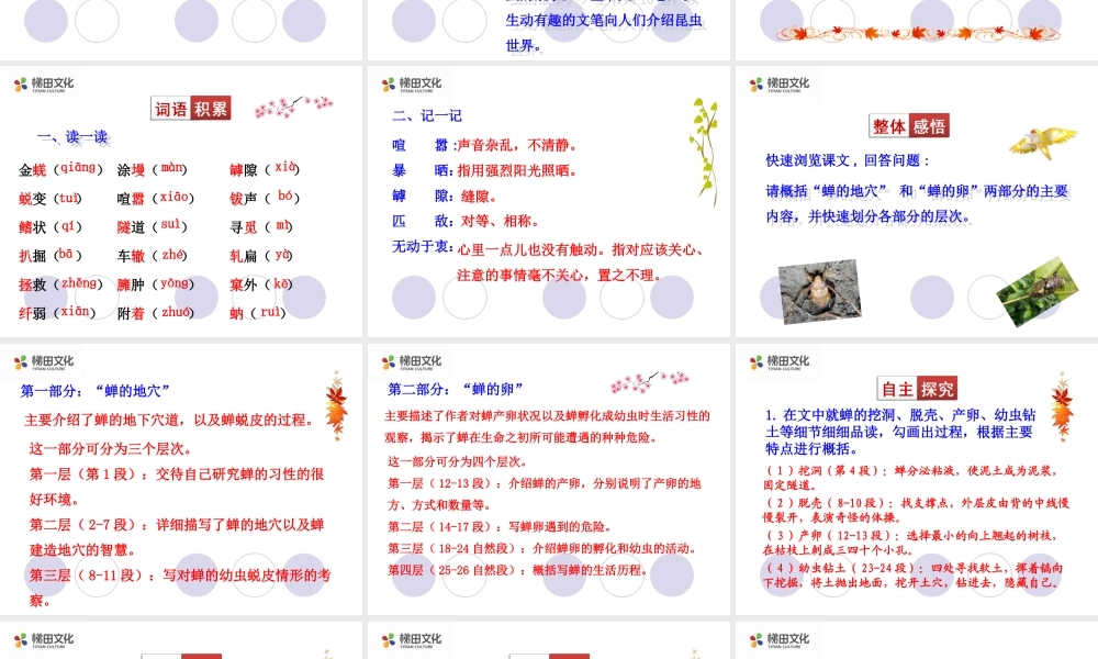 蝉 课件二(1).ppt