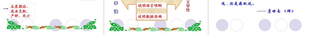 蝉 课件二(1).ppt
